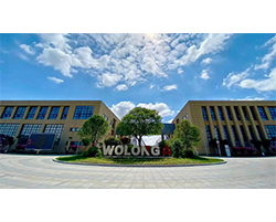 Wolong Electric Group