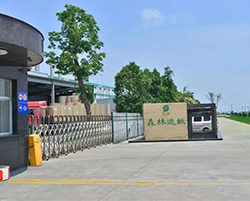 Taizhou Forest Papermaking